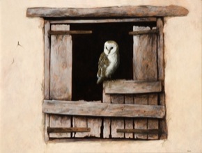 sidebar/young-owl-2009